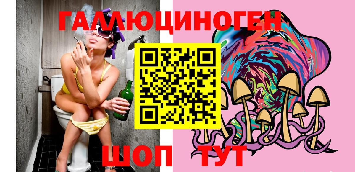 Галлюциногенные грибы Psilocybine cubensis Калач-на-Дону